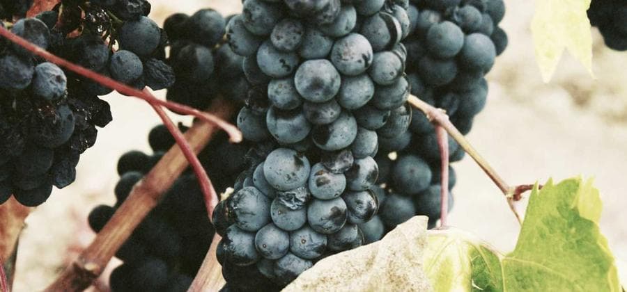 Delhi Sewer Rehabilitation Project – pipeline infrastructure