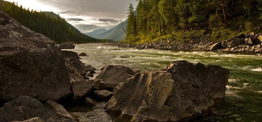 Transmission Line Upgrade – high voltage infrastructure, Maharashtra